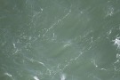 Missing Picture